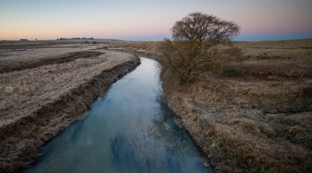 Stream in Field